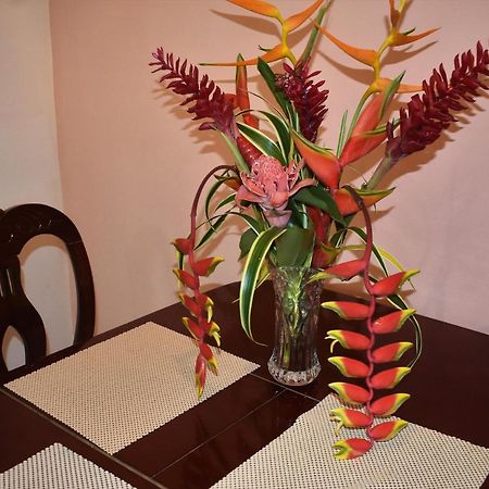 Jardines Vista Del Mar Condos Бокас дел Торо Екстериор снимка
